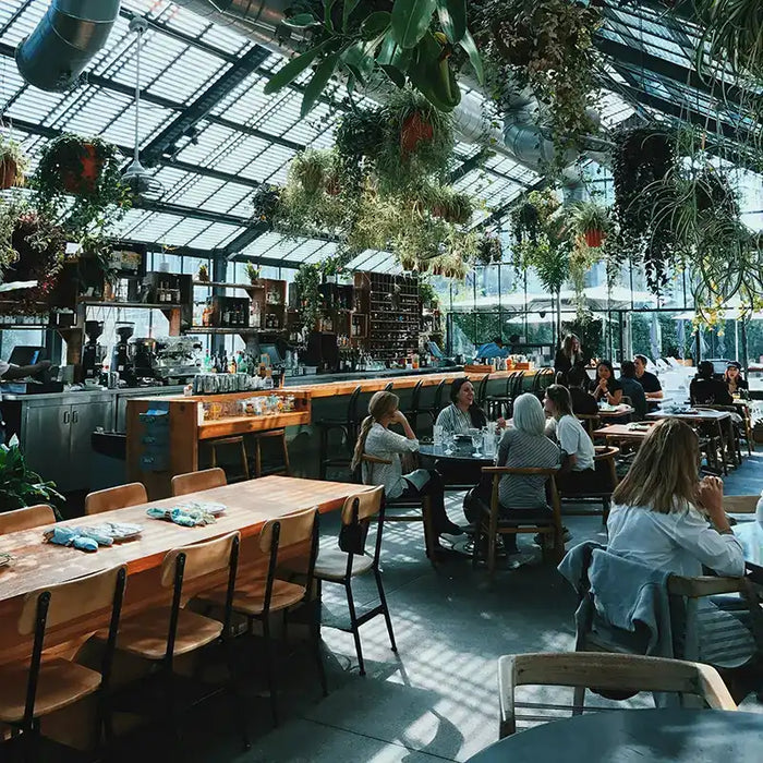Toast Covers vs. No Protection: A Cost-Benefit Analysis for Restaurant Owners